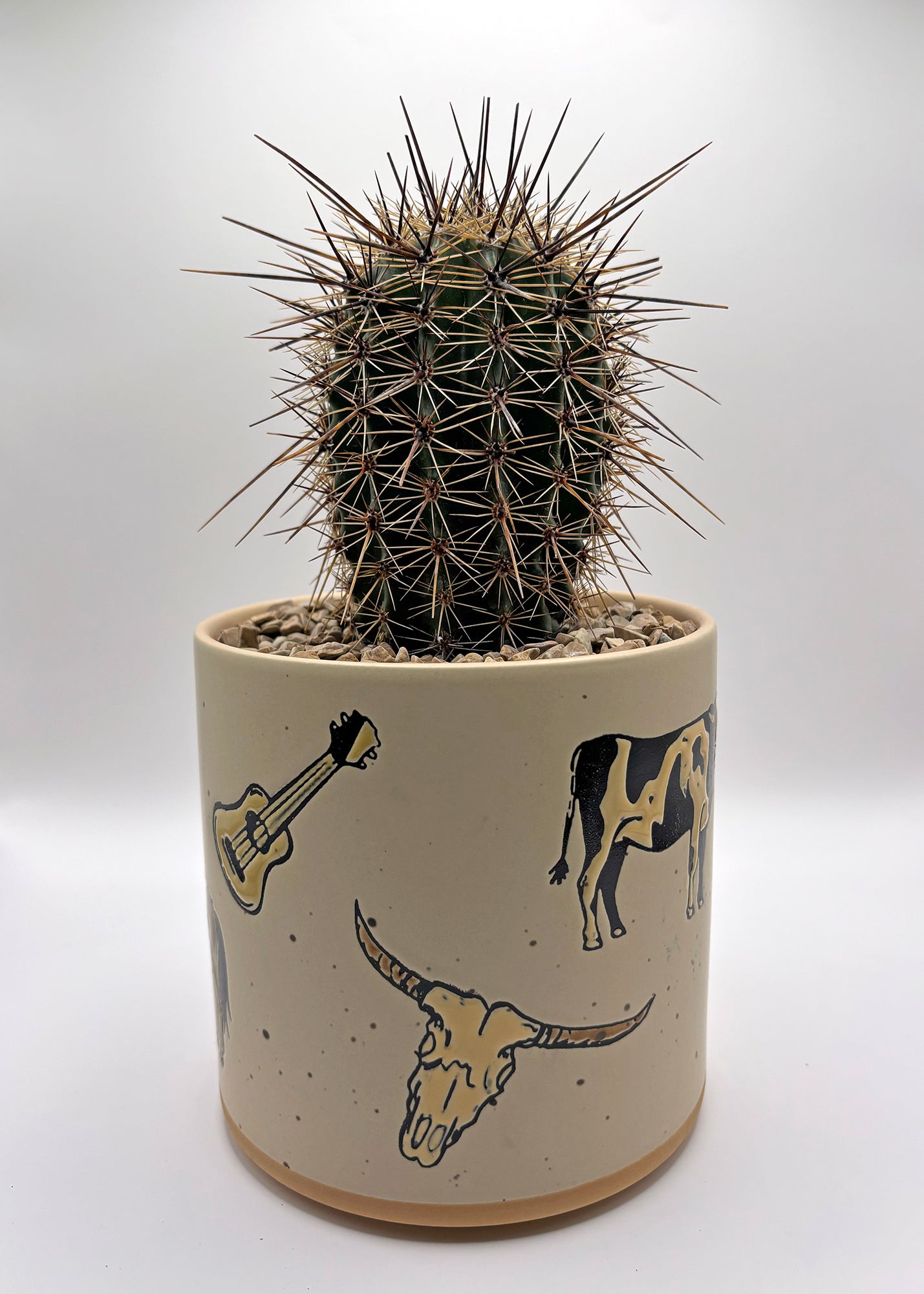 Western Icon Nesting Planters (Set of 2)