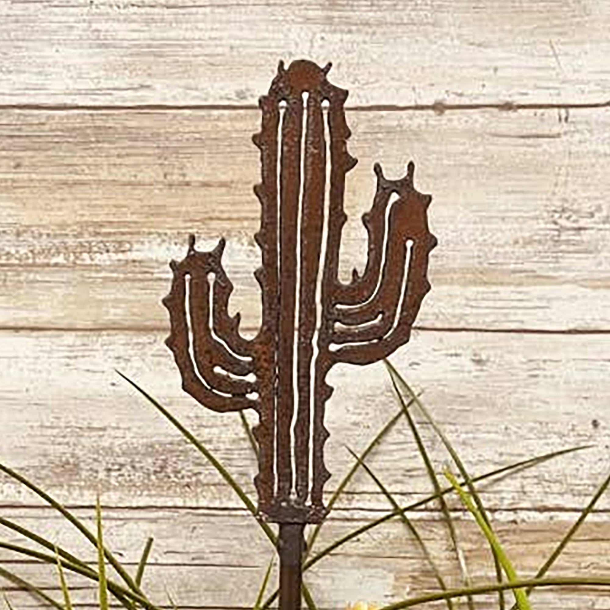 Rustic Saguaro Plant Stake